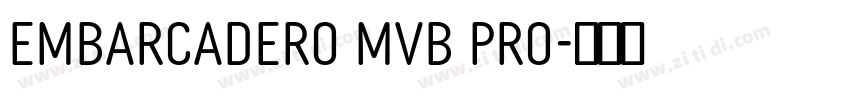 Embarcadero MVB Pro字体转换